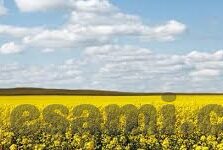 成人小视频免费澳门-成人小视频免费澳门的网络现象与影响分析