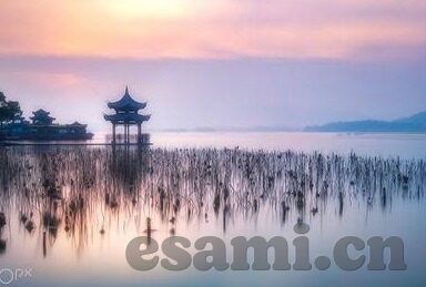 大象影视传媒国产-国产影视新势力，大象影视传媒的崛起与影响