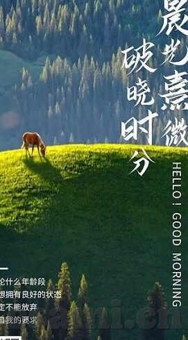 国产麻豆精品传媒av国产-国产麻豆精品，中国影视传媒艺术的独特视角探访