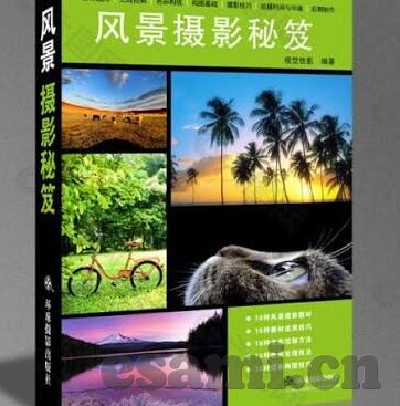麻豆传媒种子-麻豆传媒与网络安全的警钟
