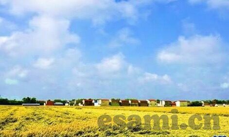 麻豆视频观看入口-寻找正确途径，麻豆视频安全观影指南