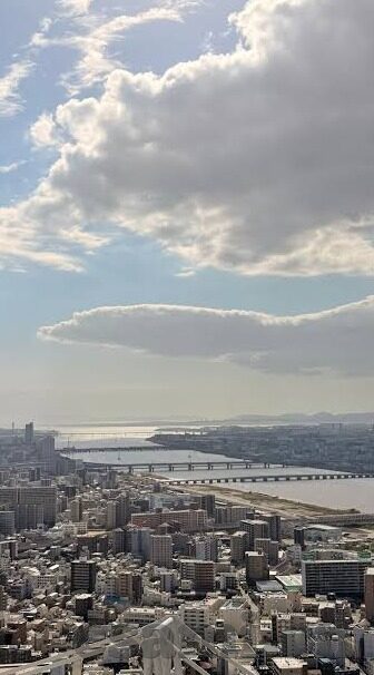 糖心app苹果商店名称-糖心APP——苹果设备上的私密乐章