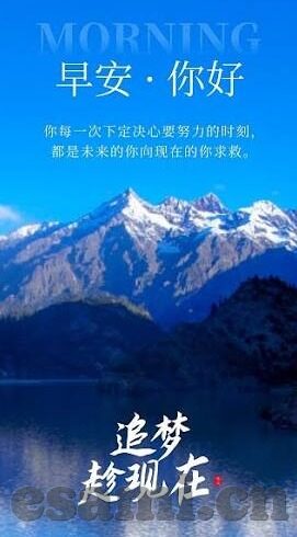 糖心官网在线观看-